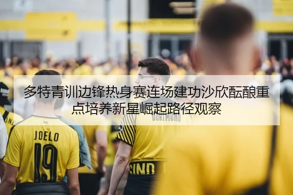 多特青训边锋热身赛连场建功沙欣酝酿重点培养新星崛起路径观察